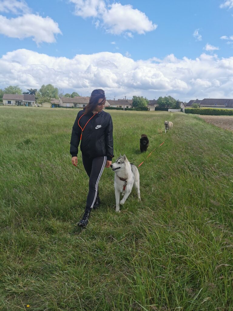 Rééducation  husky 