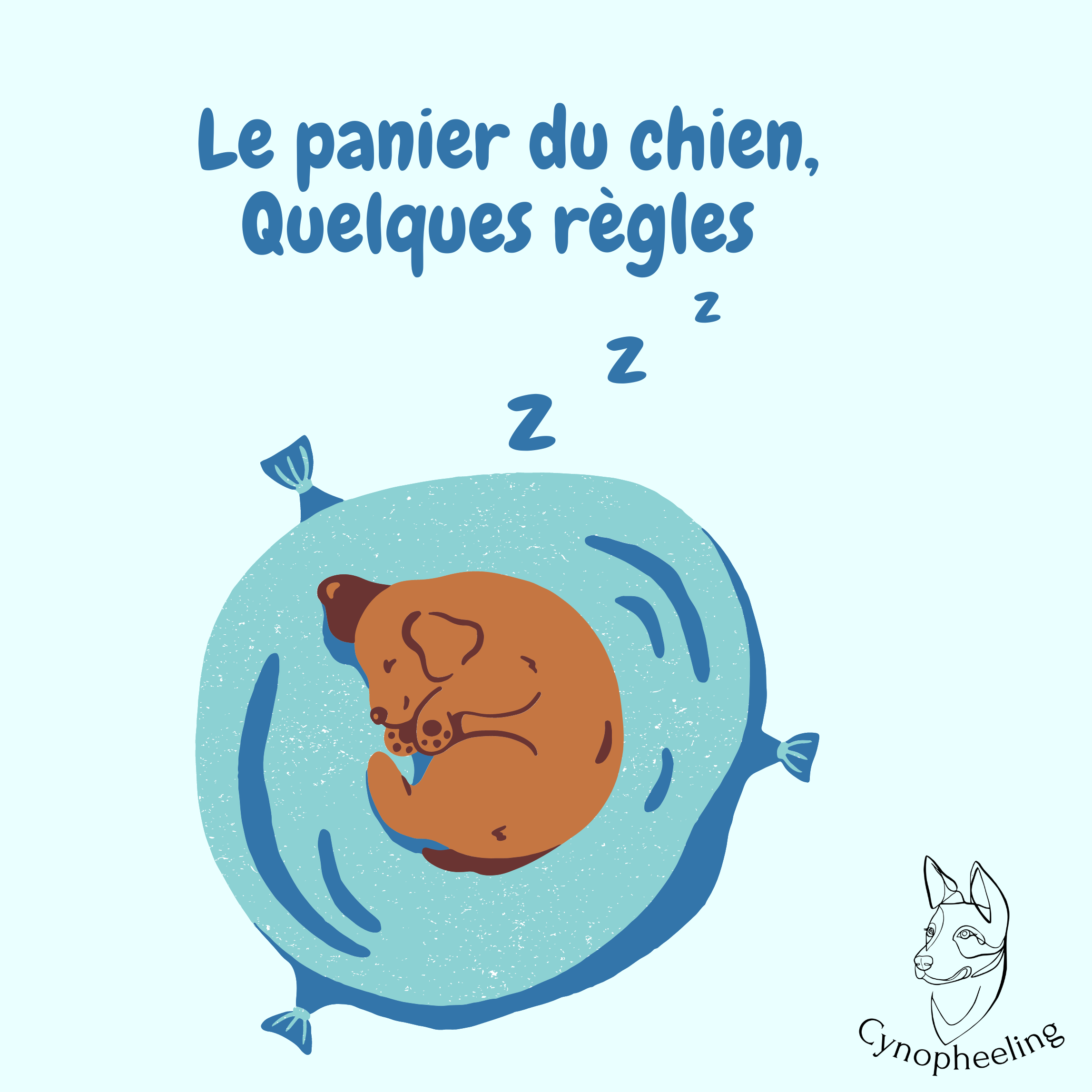 Quelques règles sur le panier du chien